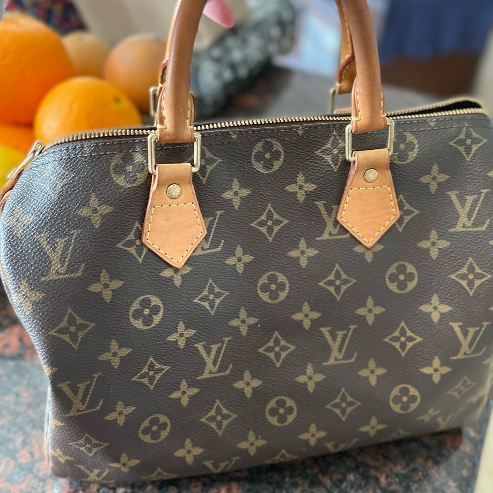 Louis Vuitton Speedy 30 Monogram